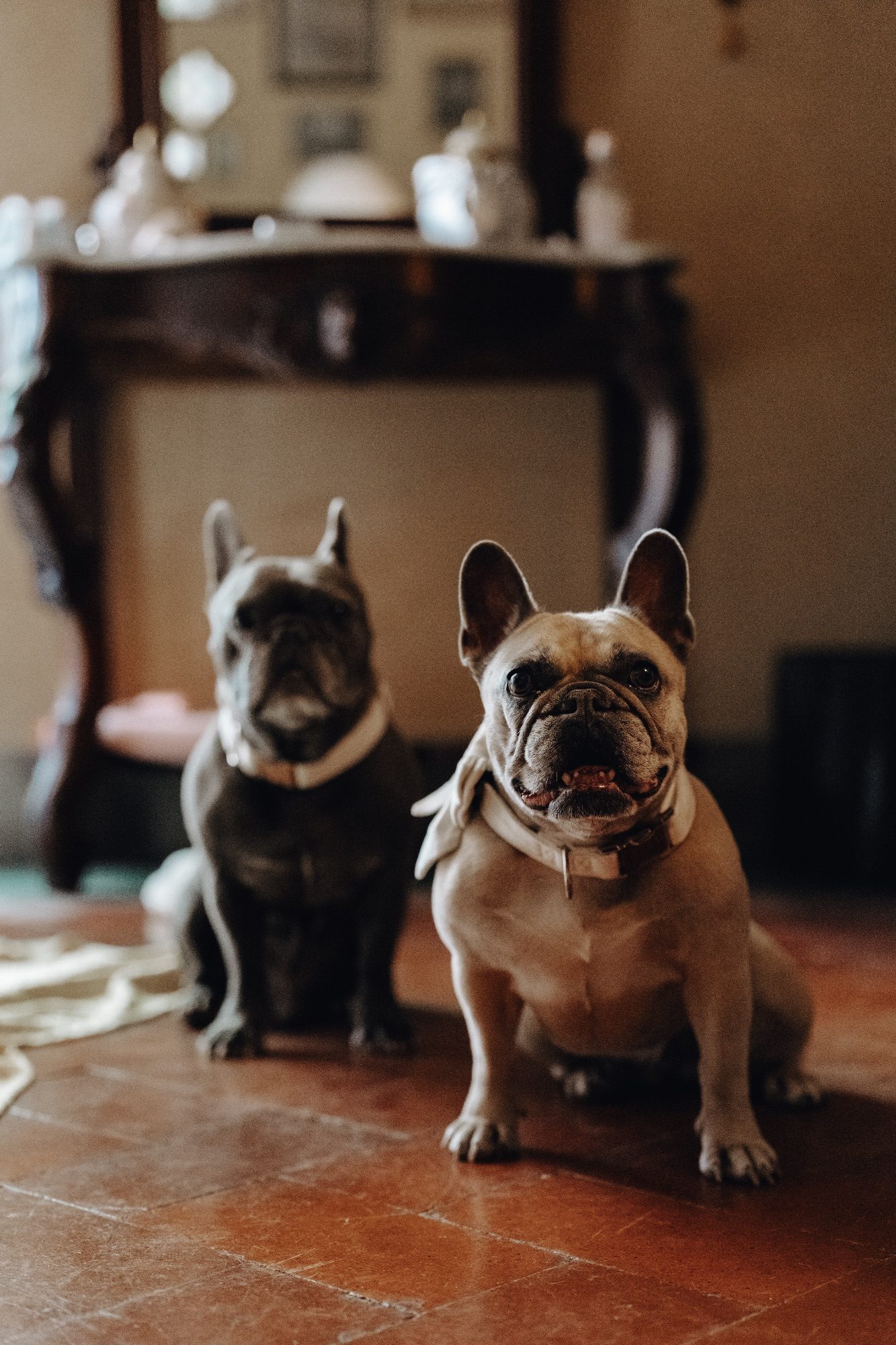 Franziska & Tim